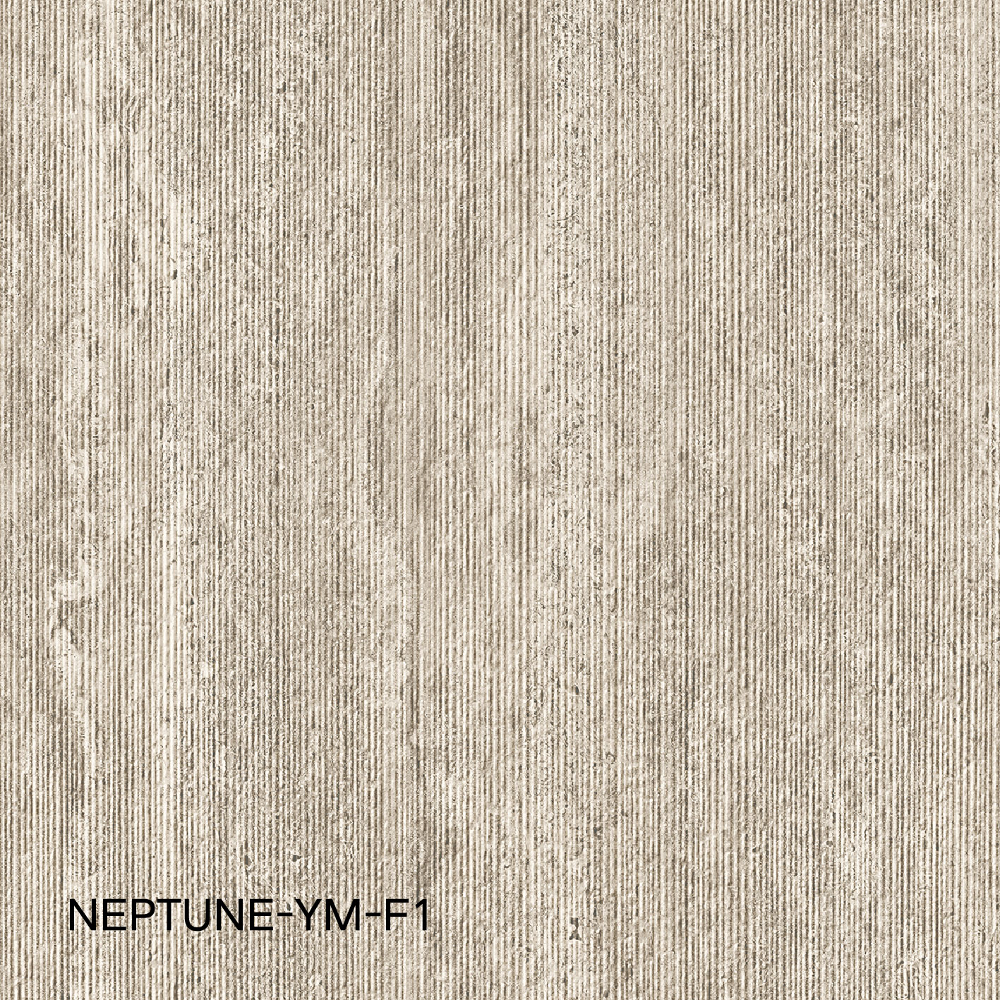 NEPTUNE-YM-F1 6120